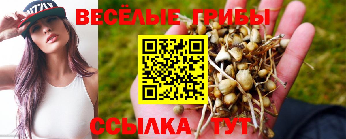 Псилоцибиновые грибы прущие грибы Малоярославец